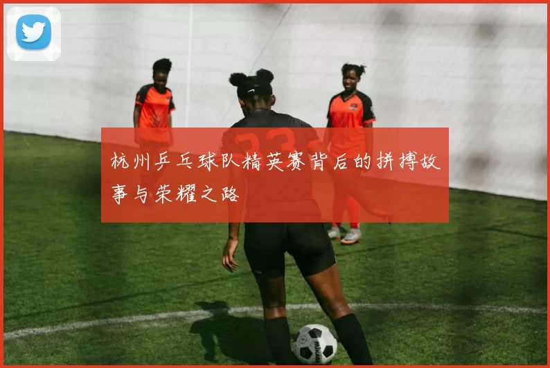 杭州乒乓球队精英赛背后的拼搏故事与荣耀之路