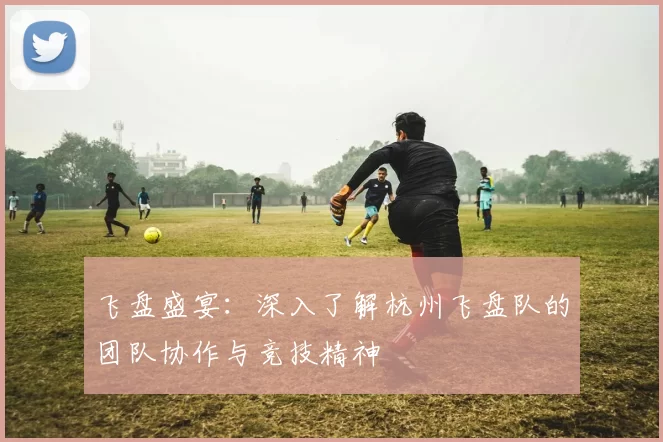 飞盘盛宴：深入了解杭州飞盘队的团队协作与竞技精神