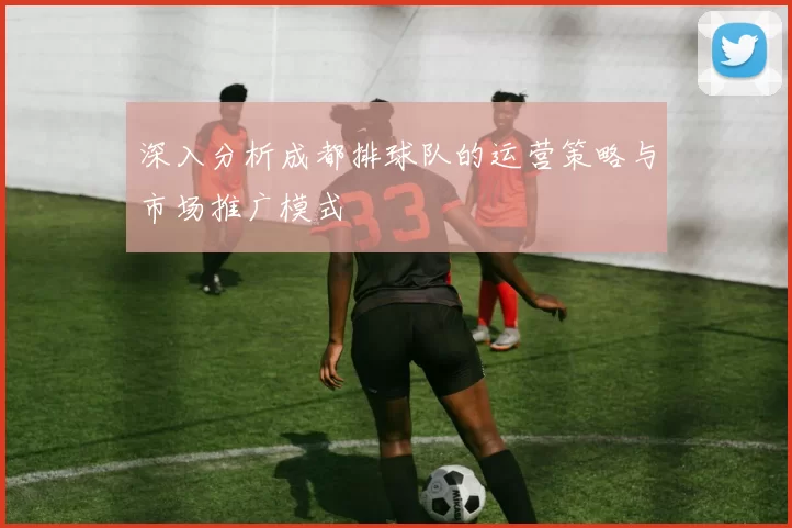 深入分析成都排球队的运营策略与市场推广模式