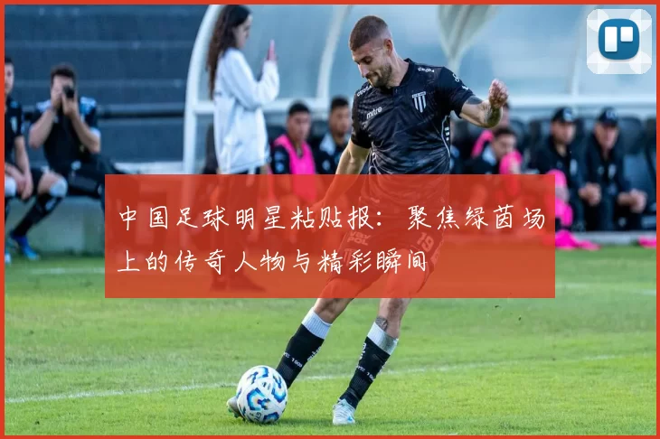 中国足球明星粘贴报：聚焦绿茵场上的传奇人物与精彩瞬间