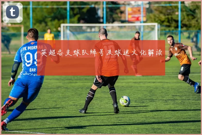 英超各支球队绰号及球迷文化解读