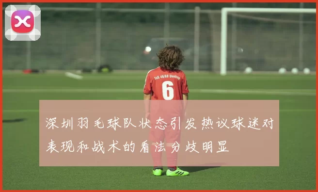 深圳羽毛球队状态引发热议球迷对表现和战术的看法分歧明显