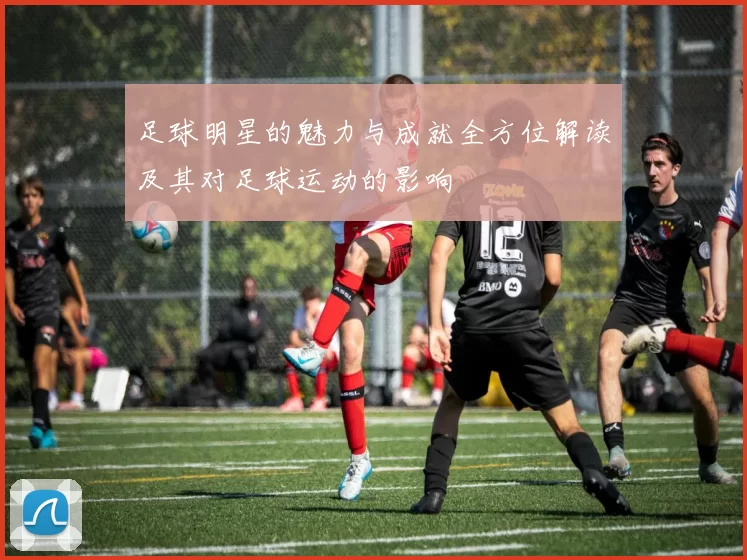 足球明星的魅力与成就全方位解读及其对足球运动的影响