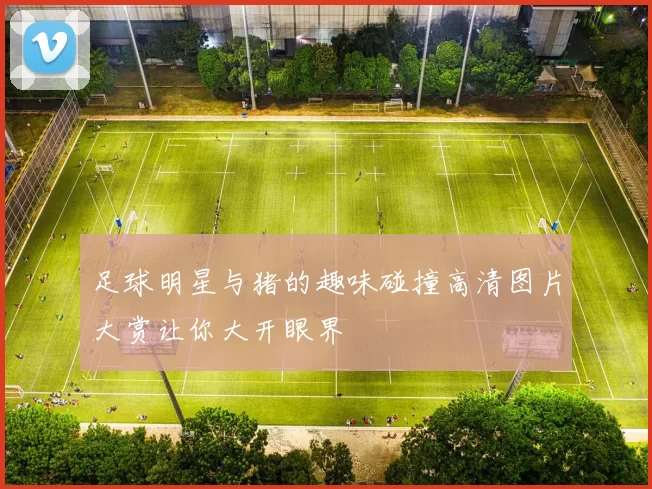 足球明星与猪的趣味碰撞高清图片大赏让你大开眼界