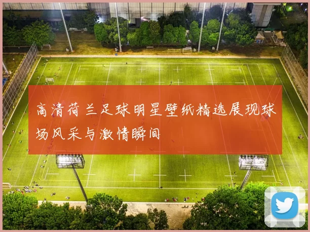 高清荷兰足球明星壁纸精选展现球场风采与激情瞬间