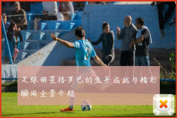 足球明星格罗巴的生平成就与精彩瞬间全景介绍