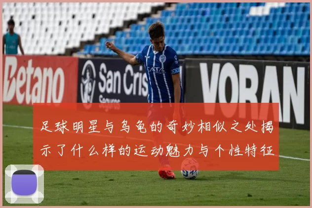 足球明星与乌龟的奇妙相似之处揭示了什么样的运动魅力与个性特征
